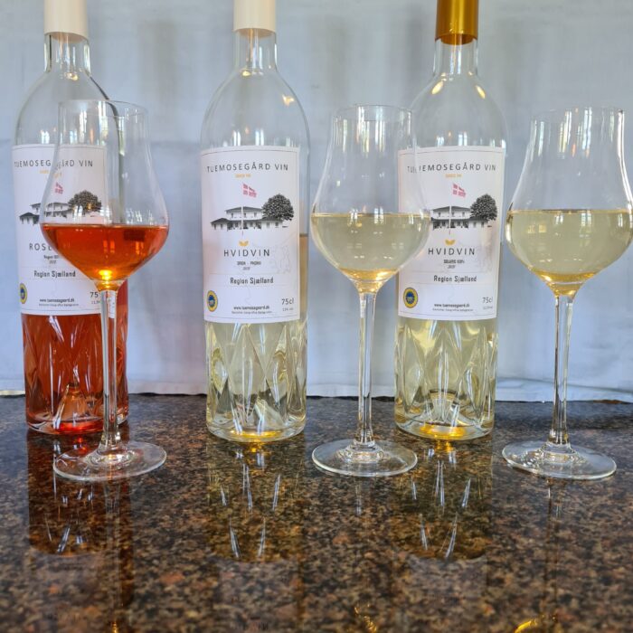 Rødvin, hvidvin og rosévin med vinglad på et bord