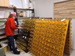 Musserende vine riddles Tuemosegaard